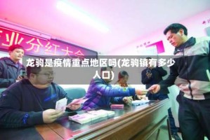 龙驹是疫情重点地区吗(龙驹镇有多少人口)