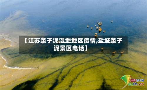 【江苏条子泥湿地地区疫情,盐城条子泥景区电话】-第1张图片