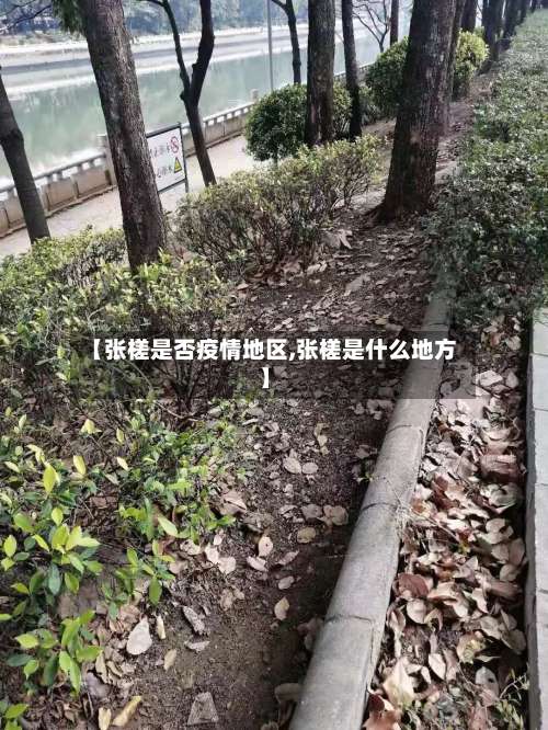 【张槎是否疫情地区,张槎是什么地方】-第1张图片