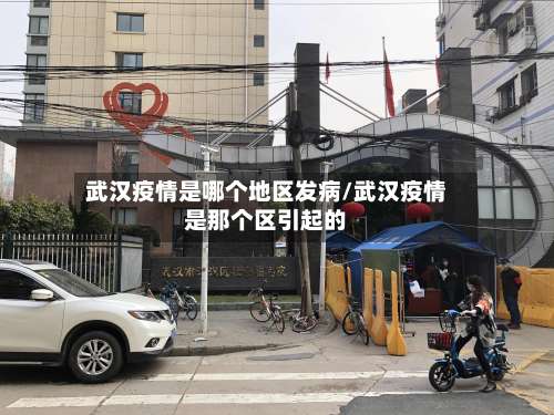 武汉疫情是哪个地区发病/武汉疫情是那个区引起的-第2张图片