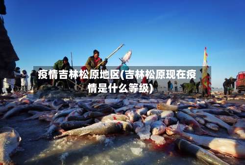 疫情吉林松原地区(吉林松原现在疫情是什么等级)-第2张图片