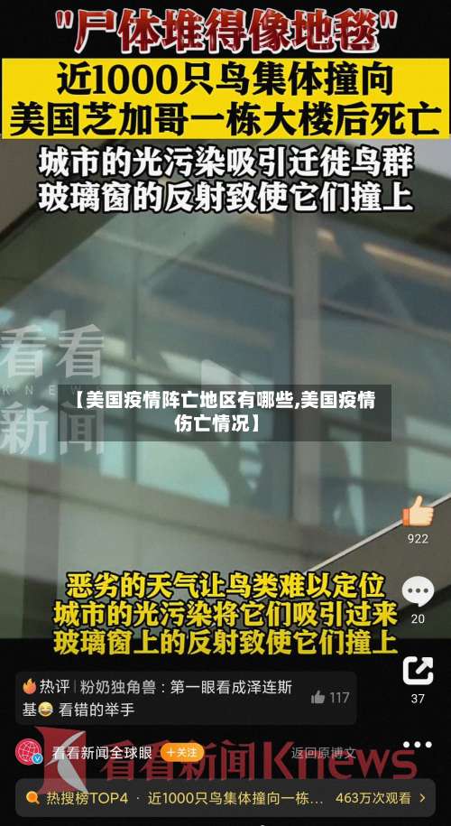 【美国疫情阵亡地区有哪些,美国疫情伤亡情况】-第3张图片