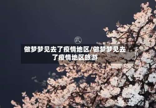 做梦梦见去了疫情地区/做梦梦见去了疫情地区旅游-第3张图片